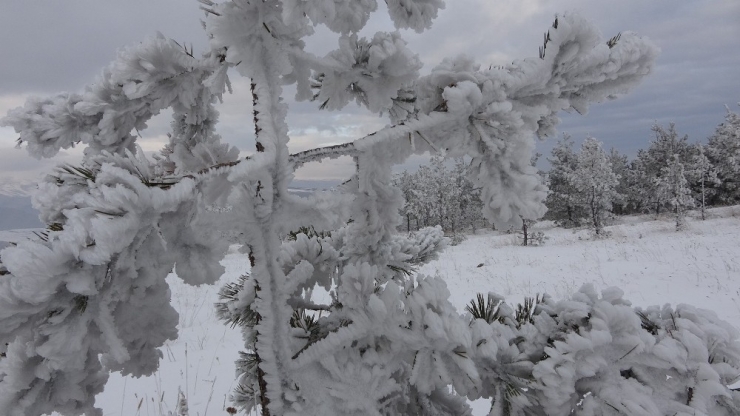 Ardahan Buz Kesti, Göle İlçesi Eksi 27 Dereceyi Gördü