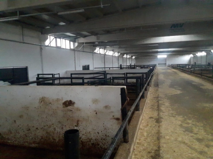 İkinci Çiftlik Bank Vurgununun Zanlıları Yakalandı