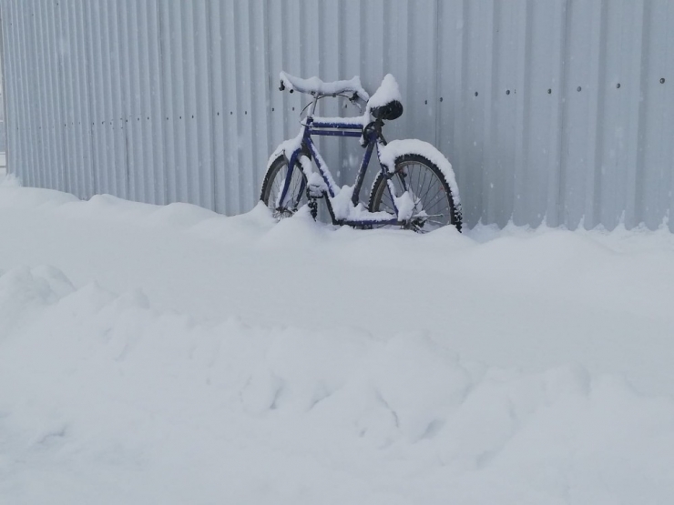 Kar Sevincinin En Güzeli Fotoğrafı
