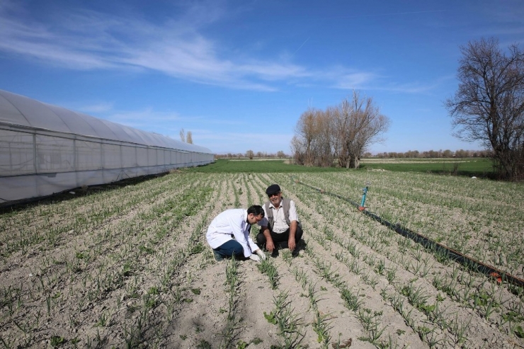 Konya Büyükşehir’den Çiftçiye Ve Üreticiye Tam Destek