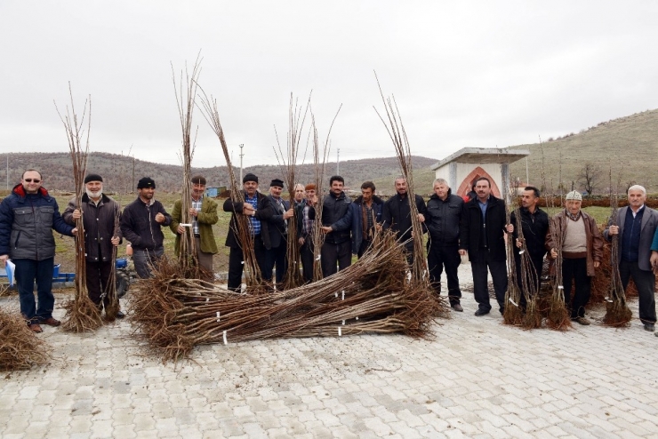 Konya Büyükşehir’den Çiftçiye Ve Üreticiye Tam Destek