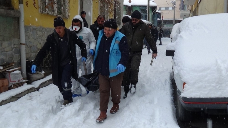 Kütahya’da Vahşet