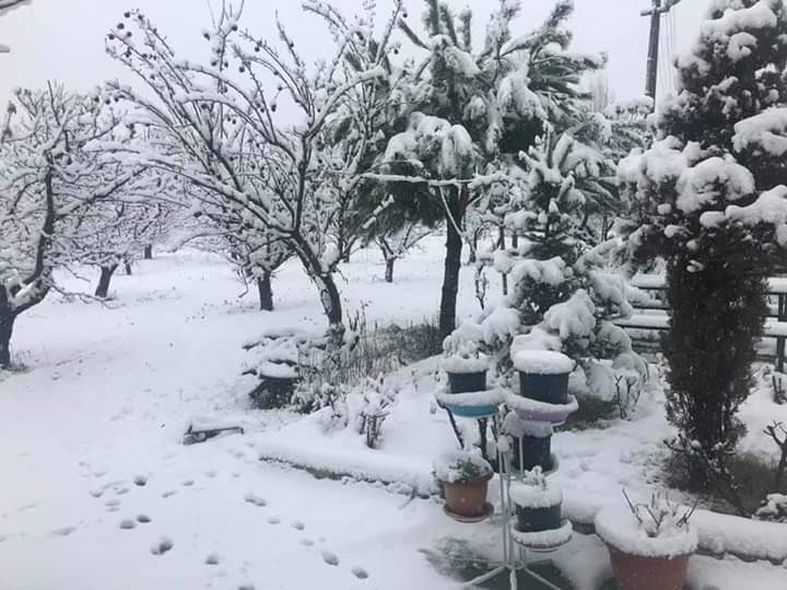 Karın Keyfini Yine Çocuklar Çıkardı