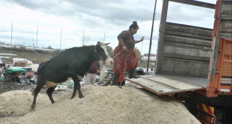 Mersin’de Sel Tahliyesi