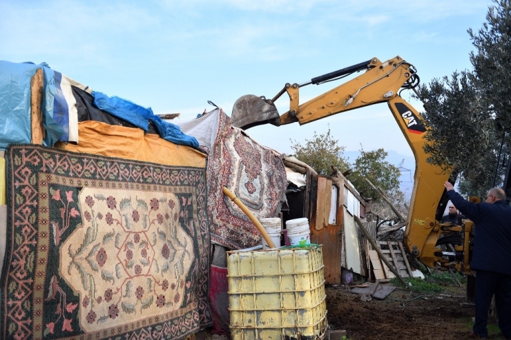 Kaçak Ahırlar Yıkıldı