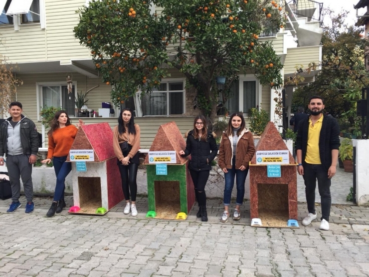 Burhaniye’de Üniversiteliler Hayvan Sevgisi Aşılıyor