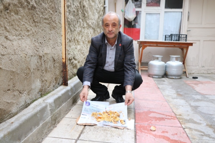 Mahallenin Kedileri Ona Emanet