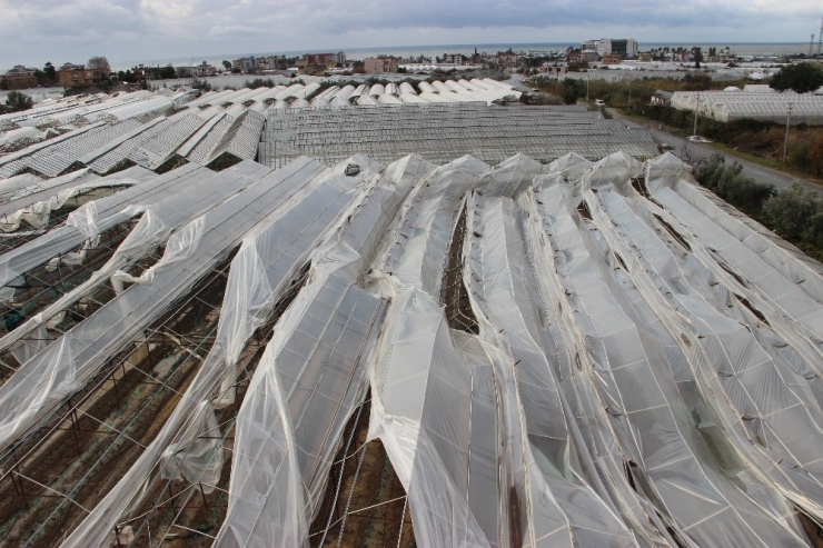 Alanya’da Şiddetli Rüzgar Ve Hortum Seraları Yerle Bir Etti