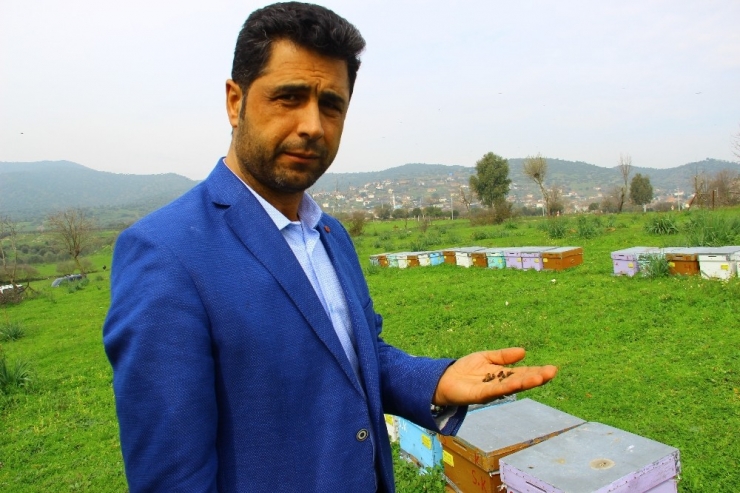 2019’u Sıkıntılı Geçiren Arıcılar 2020’den Umutlu