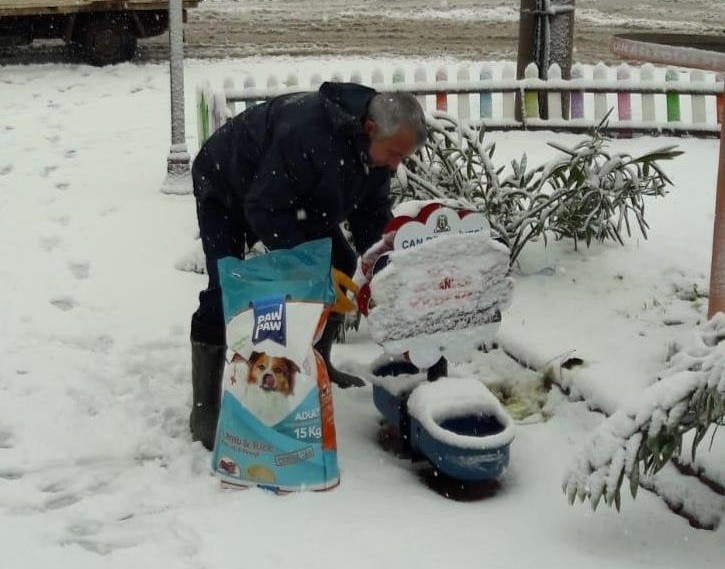 Çan Belediyesi Sokak Hayvanlarını Unutmadı