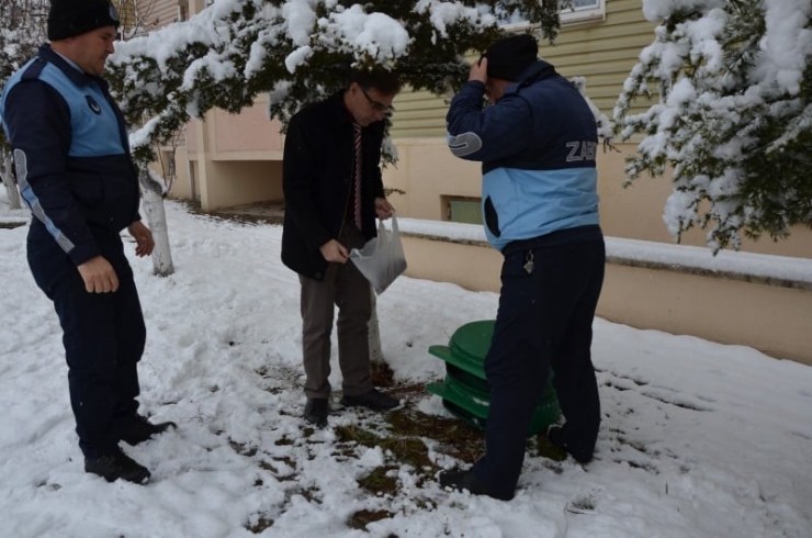 Emet Belediyesi Sokak Hayvanlarını Unutmadı