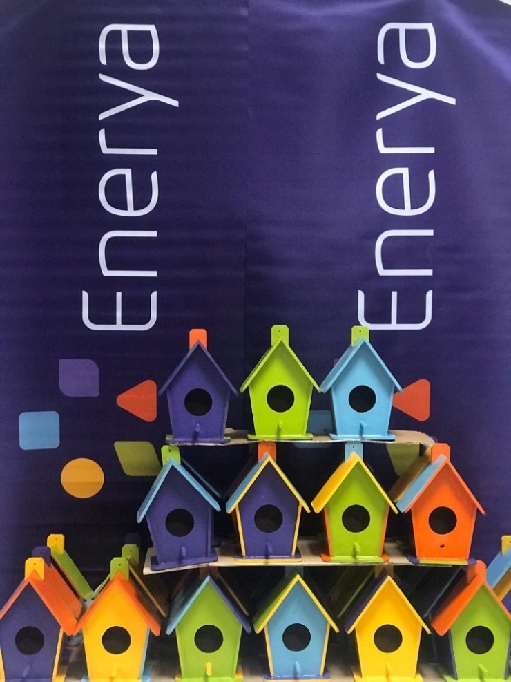 Enerya’dan Sosyal Sorumluluk Projesi; ‘Kuşlar Yuvalarına Kavuştu’