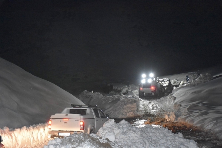 Hakkari’de Dağlık Alanda Mahsur Kalan Atlar Kurtarıldı