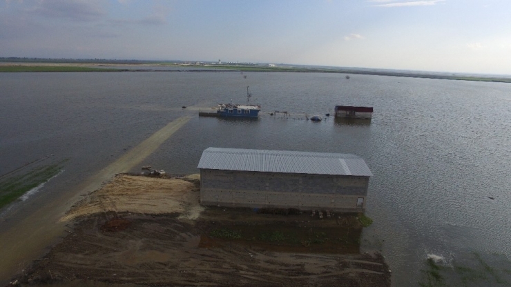 Amik Ovası Sular Altında