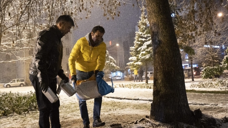 Isparta’da Yoğun Kar Yağışı Altında Sokak Hayvanlarını Besleme Operasyonu