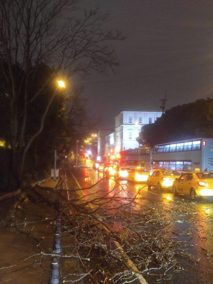 İstanbul’da Fırtına Ağaçları Devirdi
