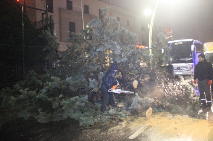 İstanbul’da Fırtına Çatıları Uçurdu, Ağaçları Devirdi