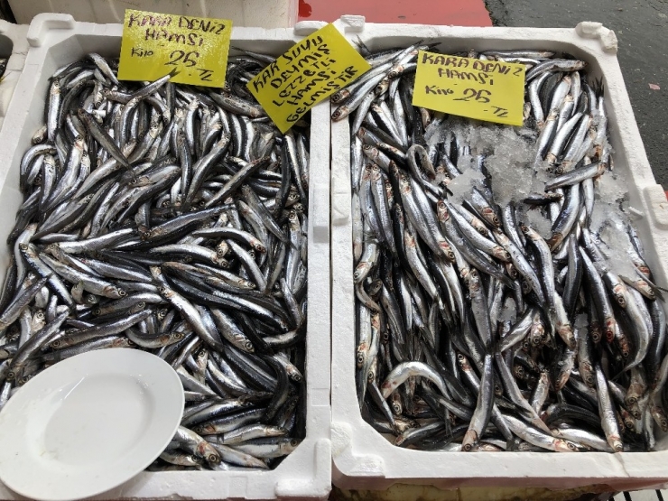 Balık Satışlarına Fırtına Engeli