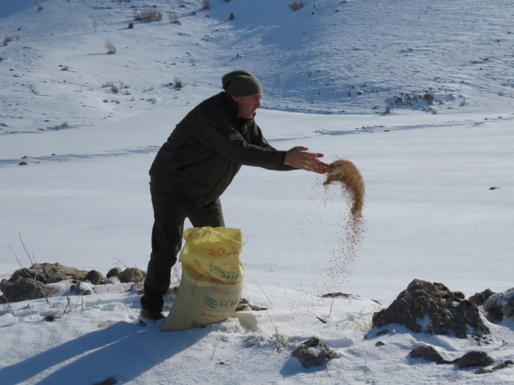 Yaban Hayvanlarına Yem Bırakıldı