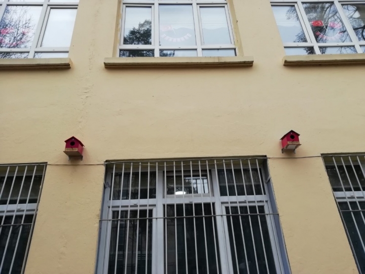 İlkokul Öğrencileri Kış Günlerinde Kuşlara Sahip Çıktı