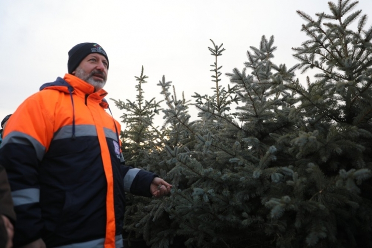 Türkiye’nin En Kapsamlı Fidanlığı Kocasinan’da