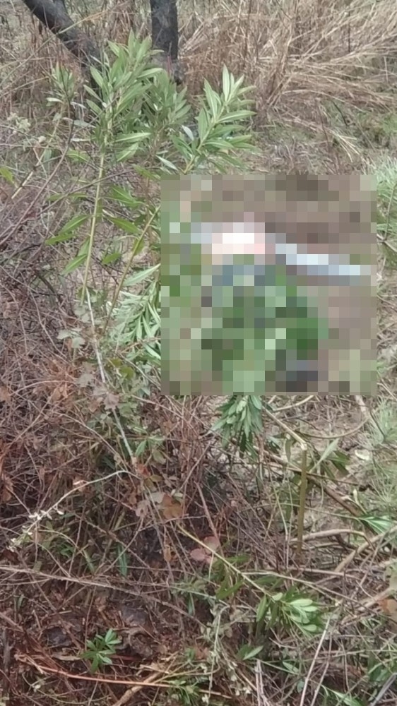 Mersin’de Yağıştan Dolayı Ölenlerin Sayısı 2’ye Yükseldi