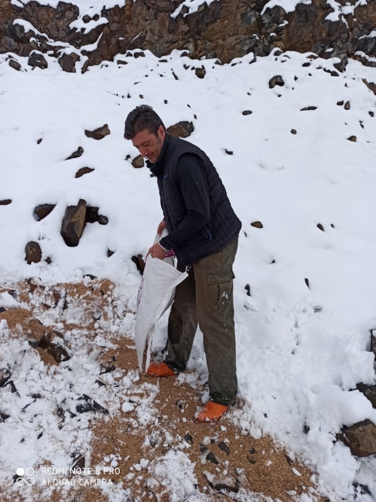 Muş Dkmp Yaban Hayvanları İçin Doğaya Yem Bırakıldı