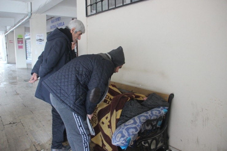 Evsiz Adam Buz Gibi Havada Bankta Yatıyor