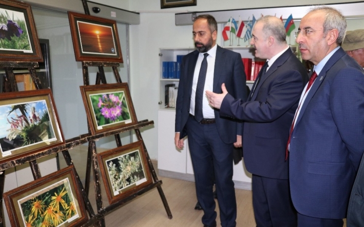 Türkiye’nin Bilimsel İlk Sanal Herbaryumu ‘Vanf’ Açıldı