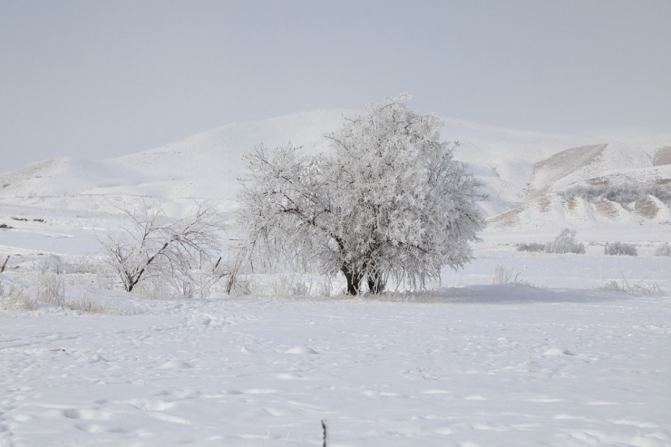 Başkale’de Hayat Adeta Buz Kesti