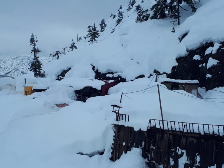 Arama Kurtarma Ekipleri Çığ Bölgesine Ulaştı