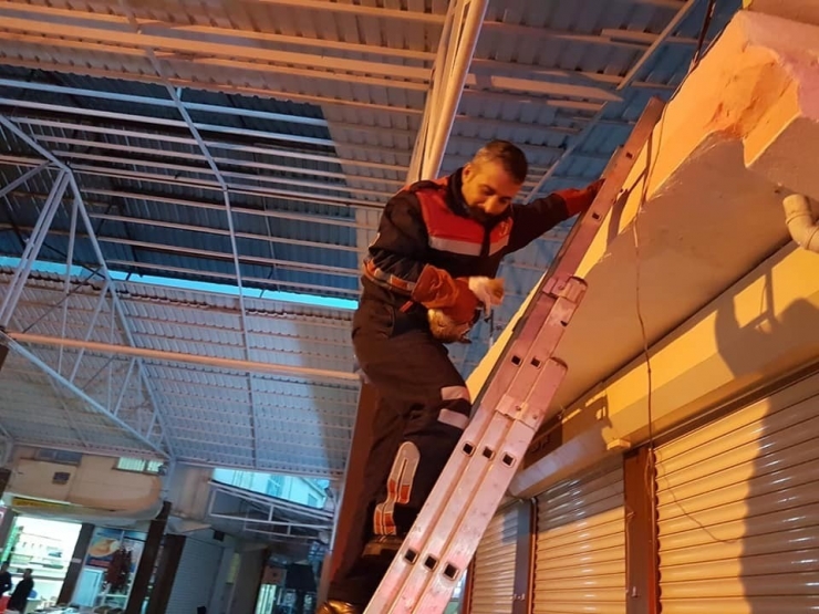 Çatıda Mahsur Kalan Kediyi İtfaiye Kurtardı