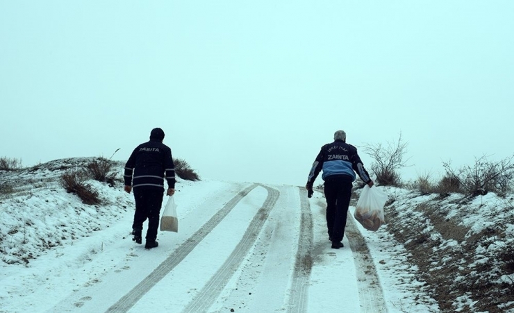 Doğadaki Hayvanlar Aç Kalmasın Diye Yem Bıraktılar