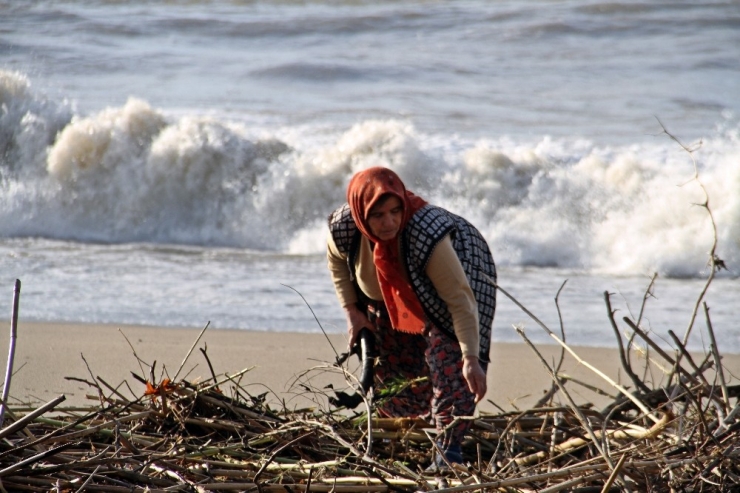 Fırtınadan Kışlık Yakacaklarını Çıkardılar