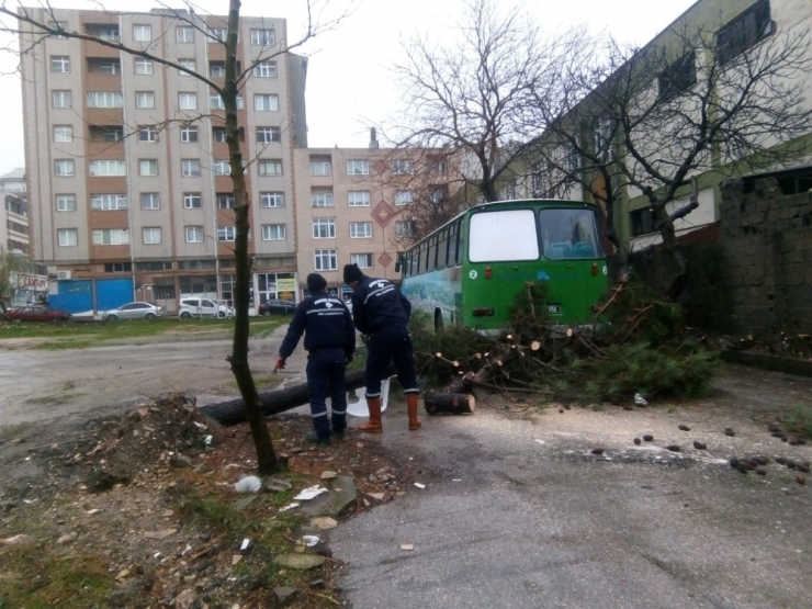 Bandırma’da Şiddetli Fırtınanın Yaraları Sarılıyor