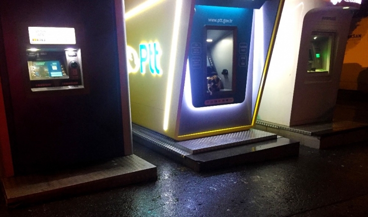 Sokak Kedisi Fırtınadan Atm’ye Sığındı