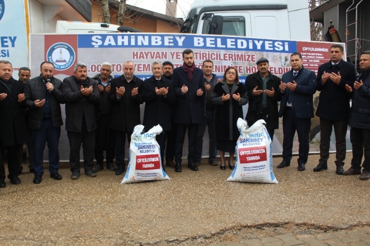 Şahinbey’den Hayvan Yetiştiricilerine 7 Bin Ton Yem Desteği