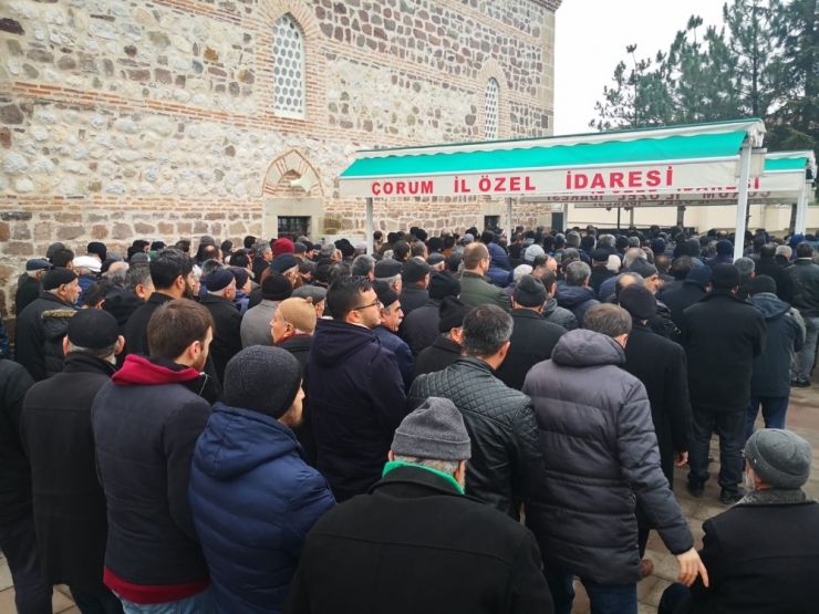 Genç Yaşta Kalbine Yenik Düştü