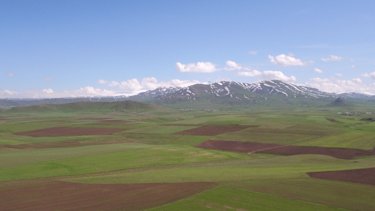 Erzincan’da 1 Milyon 760 Bin Dekar Alanda Arazi Toplulaştırma Çalışması Yapıldı
