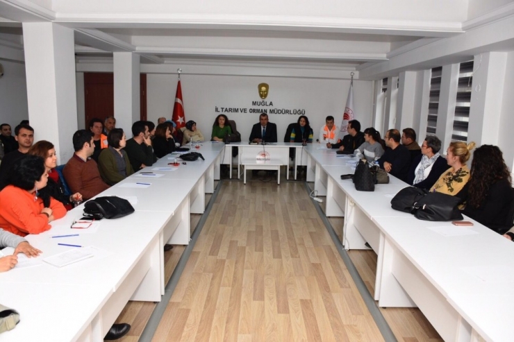 Eğiticilere ’Zeytinde Budama” Eğitimi Verildi