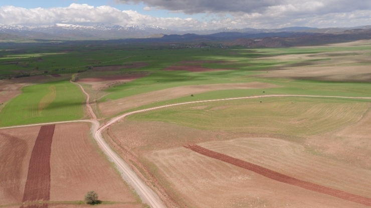 Erzurum, Ağrı Ve Erzincan’da Toplulaştırma Çalışmaları Devam Ediyor