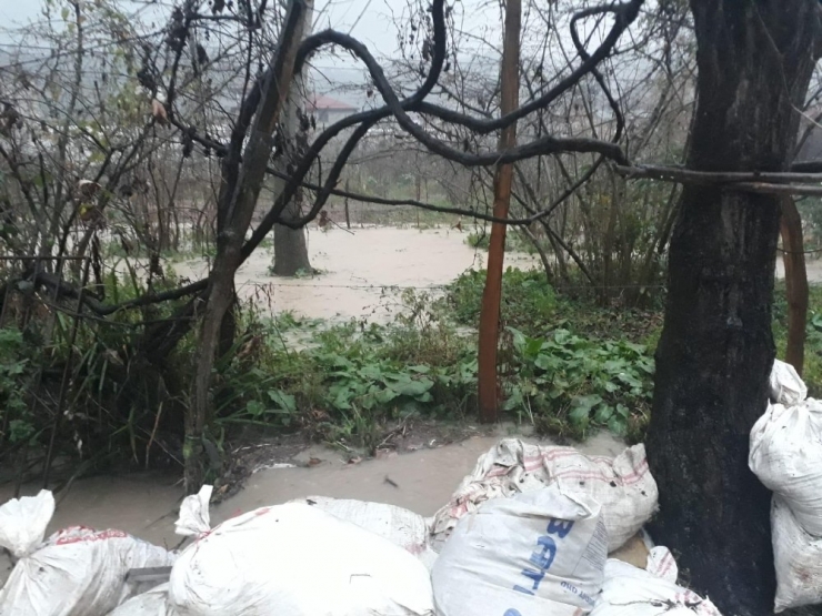 Giresun’da Sağanak Yağış Su Baskınlarına Neden Oldu