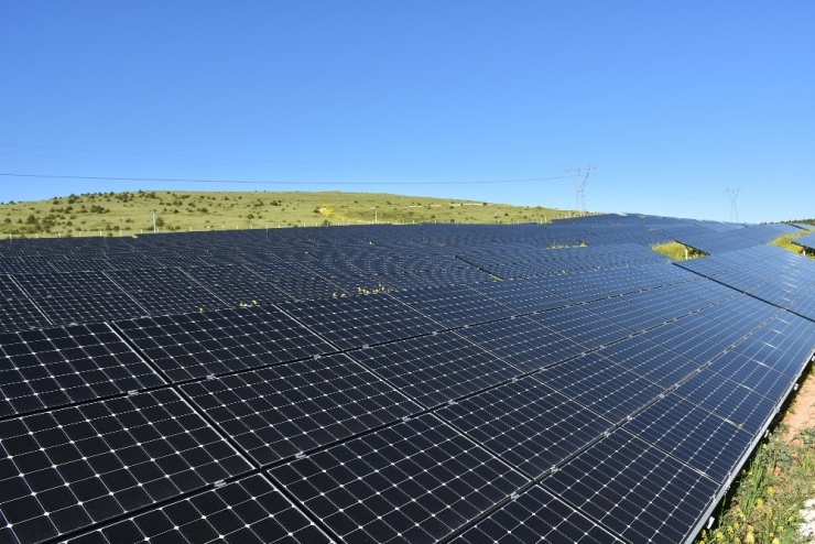 Harran Üniversitesi Kendi Enerjisini Üretiyor