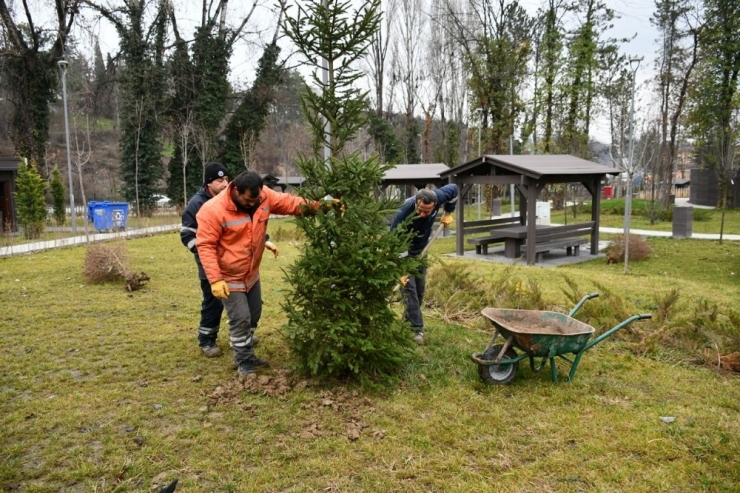 10 Yılda 150 Bin Fidan Dikildi
