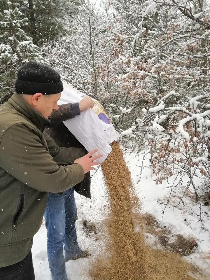 Yaban Hayvanlarına Yem Bırakıldı