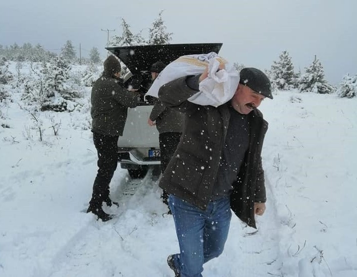 Yaban Hayvanlarına Yem Bırakıldı