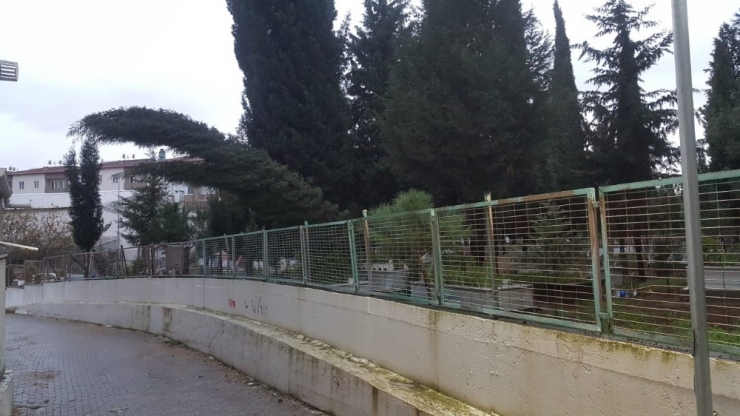 Karacabey’de Fırtına Ağaçları Devirdi