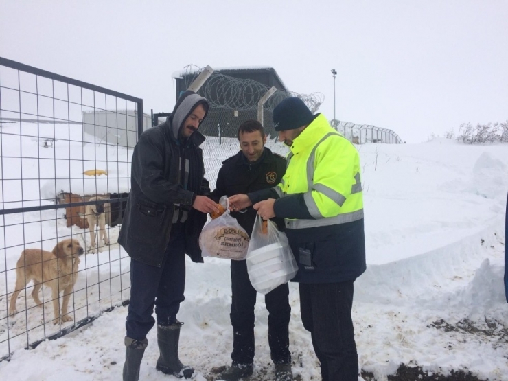 Kar Yağışı Yüzünden 2 Gün Boyunca Mahsur Kaldılar
