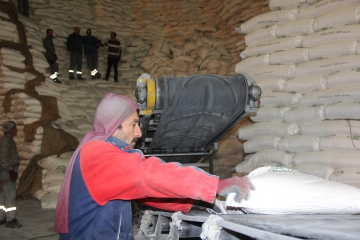 Pancar Alımında Son 20 Yılın Rekoru Kırıldı