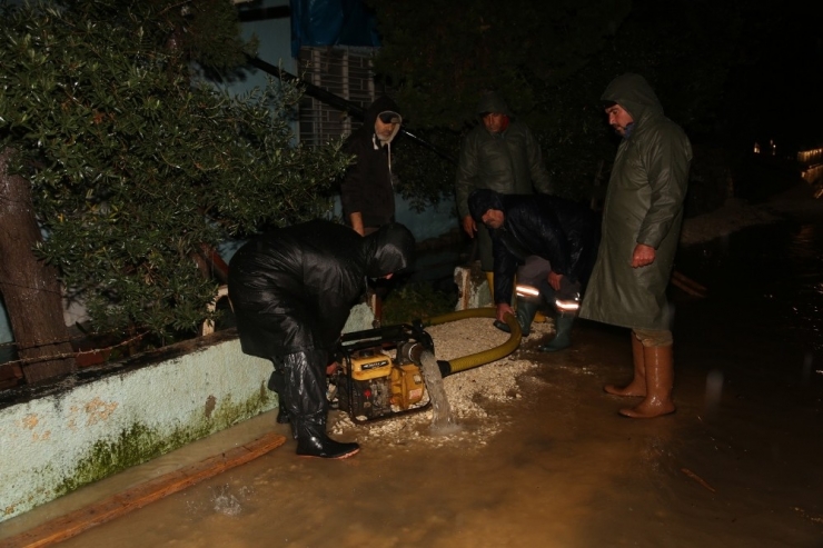 Tollu: "500 Kişilik Ekiple Çalıştık"